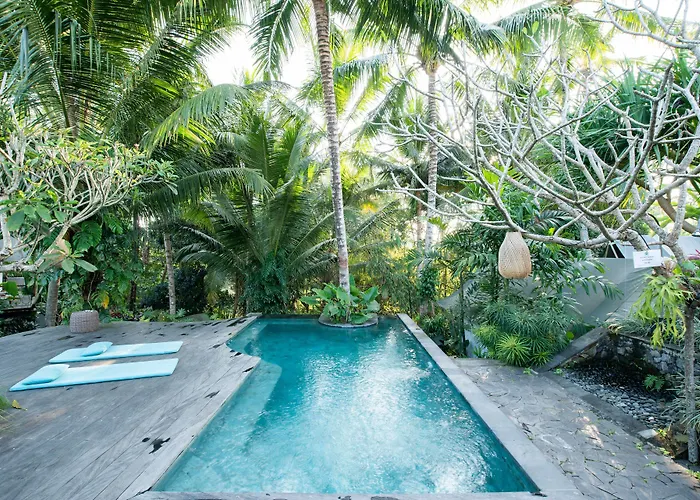 Tropical Hostel *