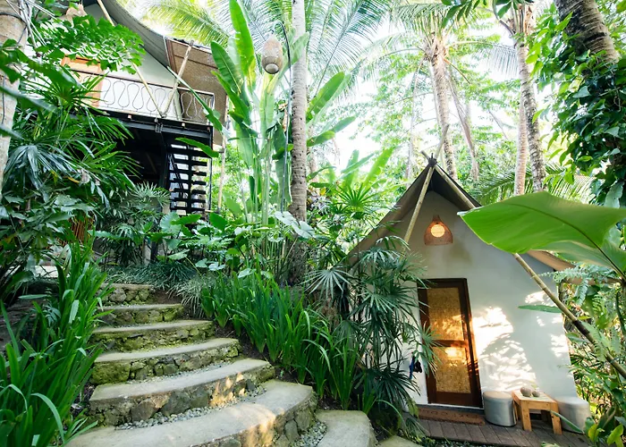 Tropical