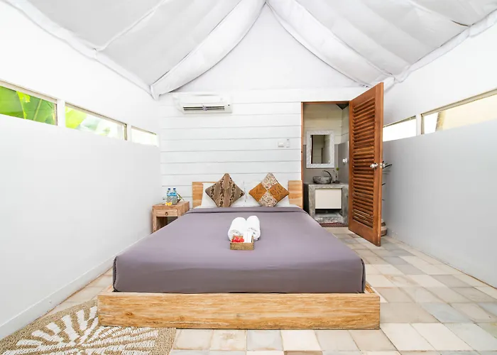 Albergue Tropical