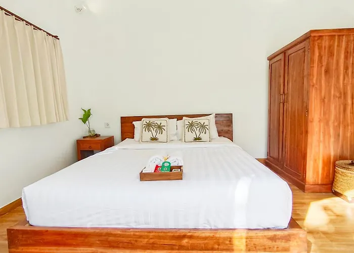 Albergue Tropical *