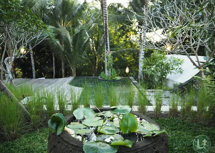 Tropical Albergue